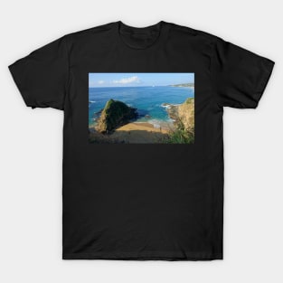 Crique de Zipolite au Mexique T-Shirt